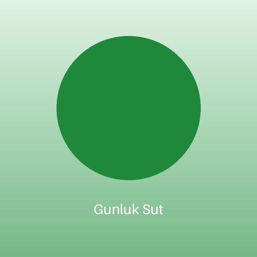 Günlük Süt
