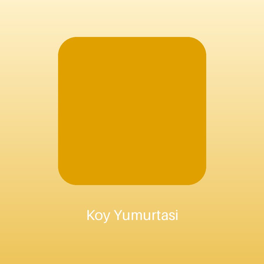 Köy Yumurtası